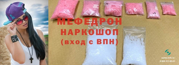 молекула духа Вяземский