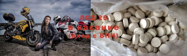 молекула духа Вяземский