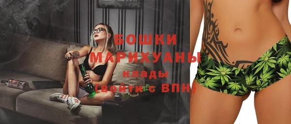 молекула духа Вяземский