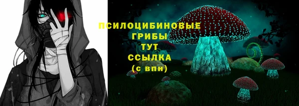 прущие крисы Весьегонск