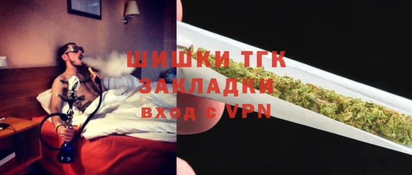 молекула духа Вяземский
