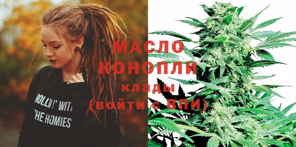 молекула духа Вяземский