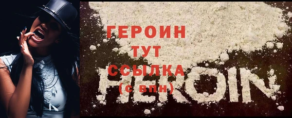 молекула духа Вяземский