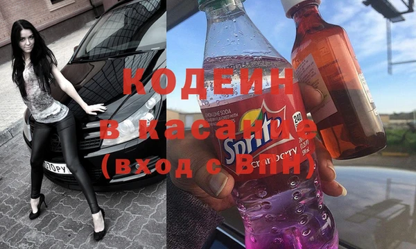 молекула духа Вяземский