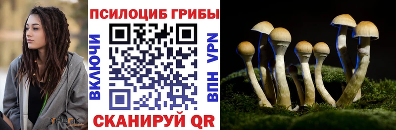 hydra ссылки  Гагарин  Галлюциногенные грибы мухоморы  купить наркотики сайты 
